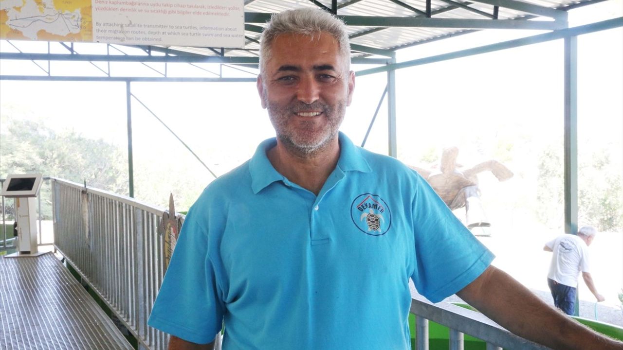 İztuzu Kumsalı'ndaki Caretta Caretta Yuva Sayısı 800'e Ulaştı