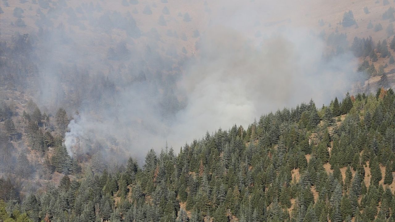 Kahramanmaraş'taki Orman Yangınına Hızla Müdahale