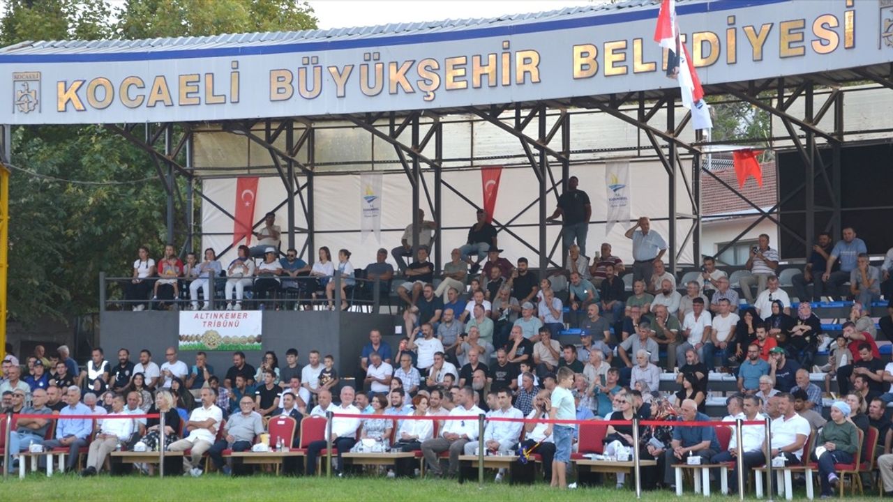 Karamürsel Yağlı Pehlivan Güreşleri'nde Ali Gürbüz Zaferle Çıktı