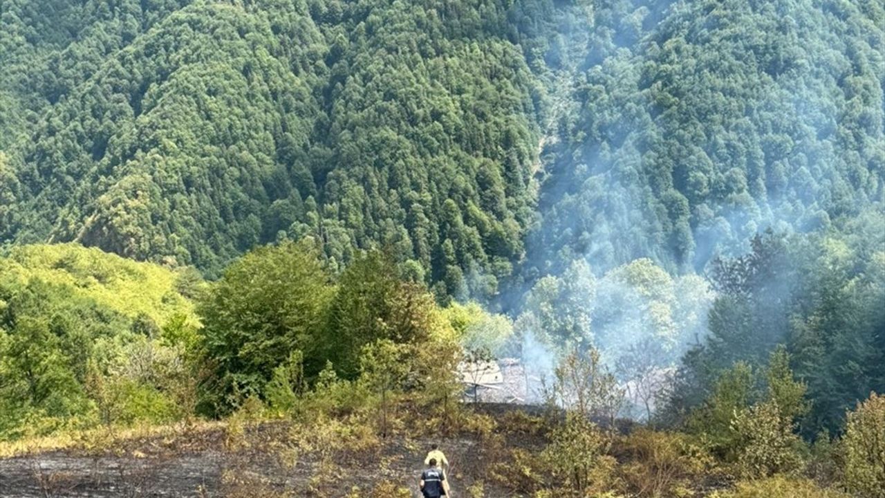 Kastamonu'da Ormanlık Alana Sıçrayan Yangın Kontrol Altına Alındı