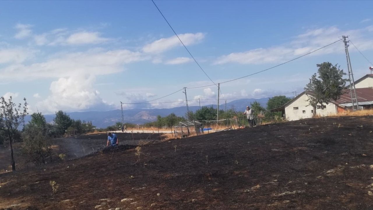 Kastamonu'daki Orman Yangını Kontrol Altına Alındı