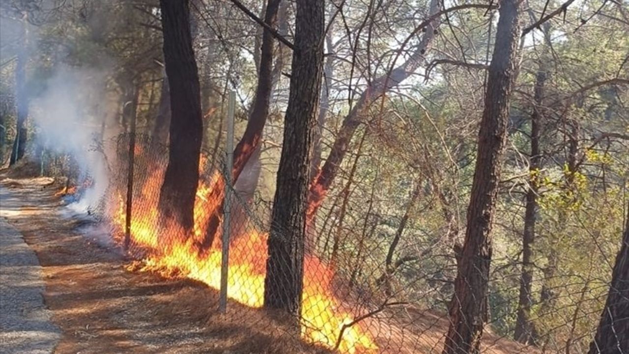Kazdağları Milli Parkı'ndaki Orman Yangını Kontrol Altına Alındı