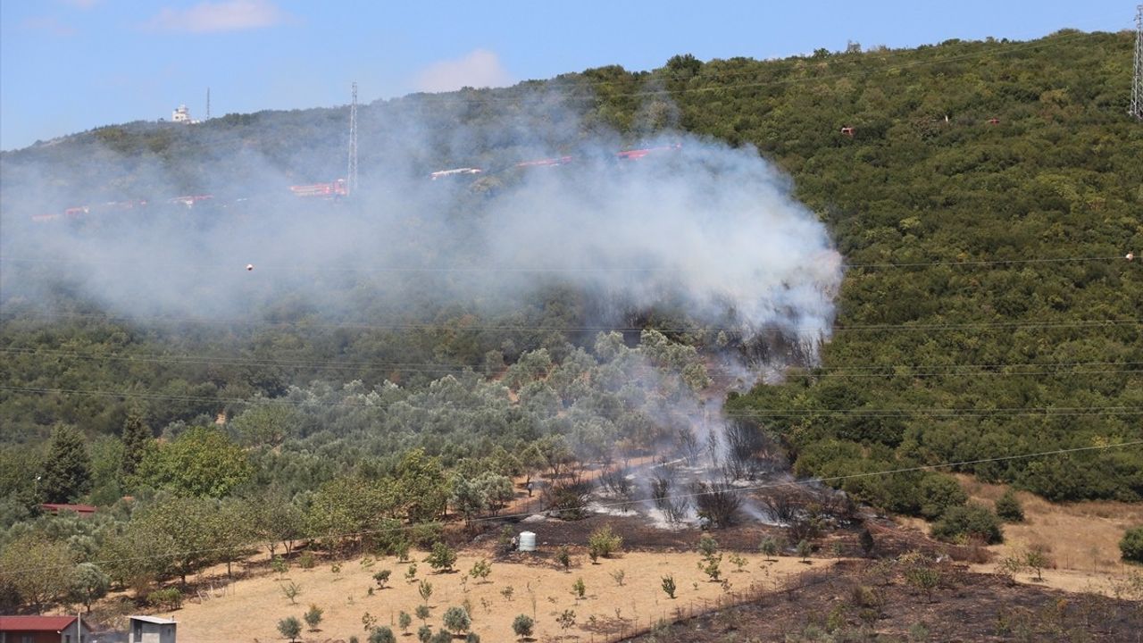 Kocaeli'de Ağaçlık Alanda Yangın Kontrol Altına Alındı