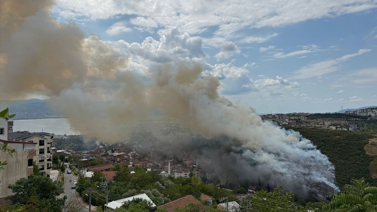 Kocaeli'de Ağaçlık Alanda Yangın Müdahalesi