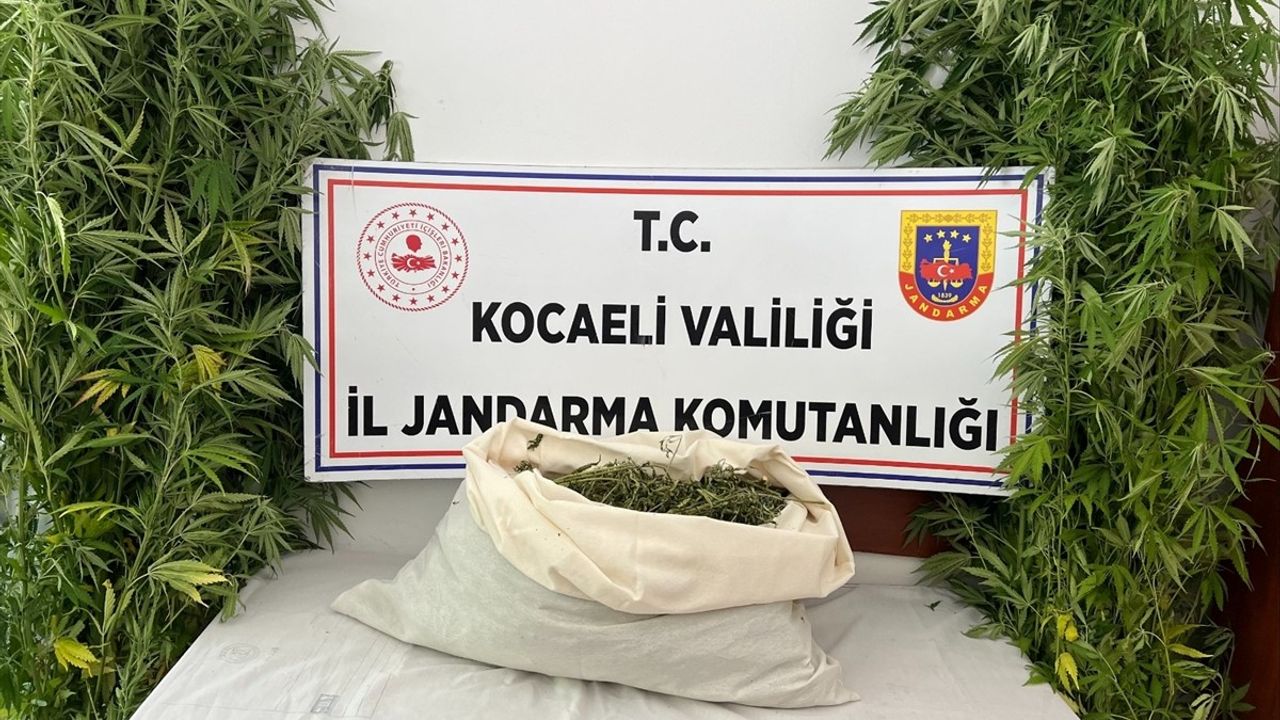 Kocaeli'de Uyuşturucu Operasyonu: İki Zanlı Tutuklandı