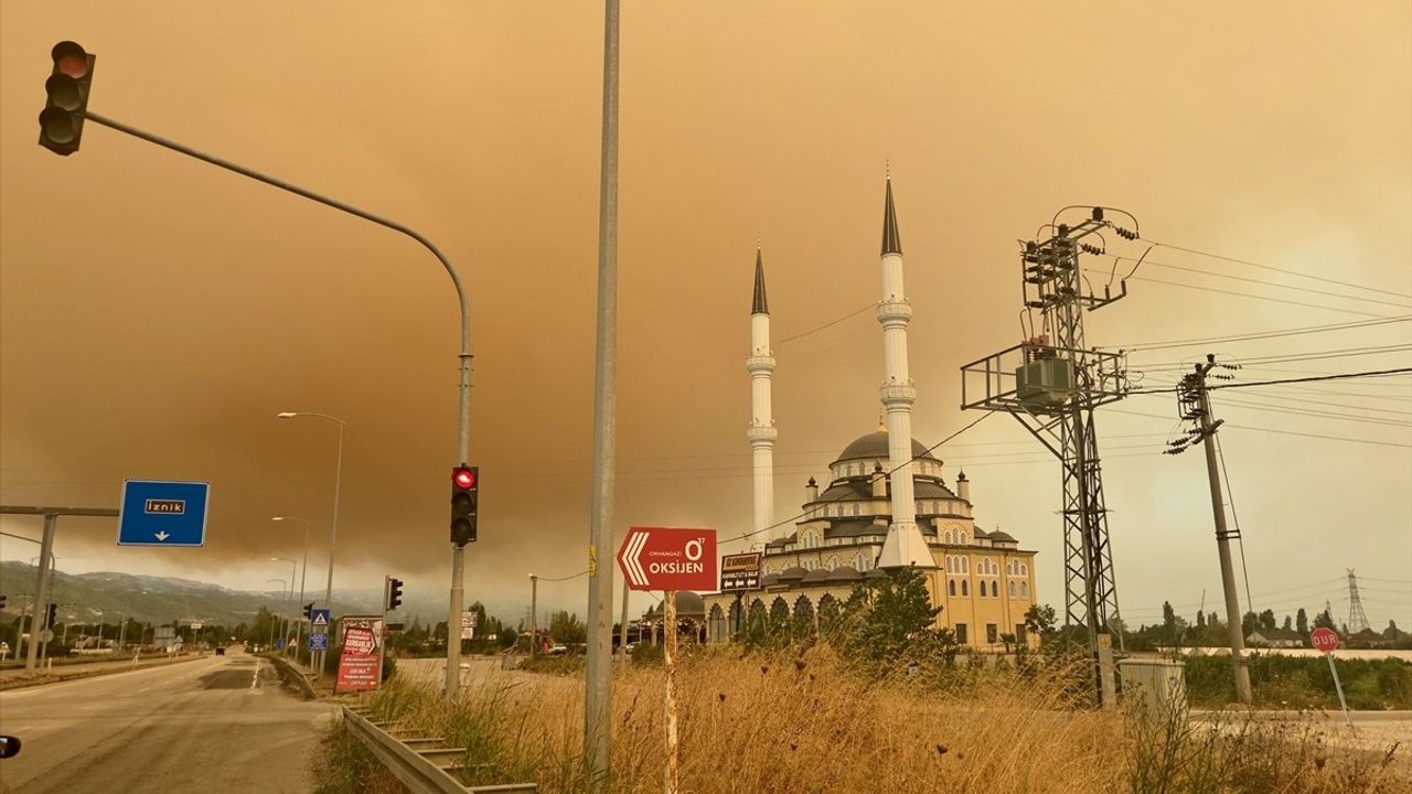 Kocaeli Orman Yangını Dumanı Bursa'yı Sardı