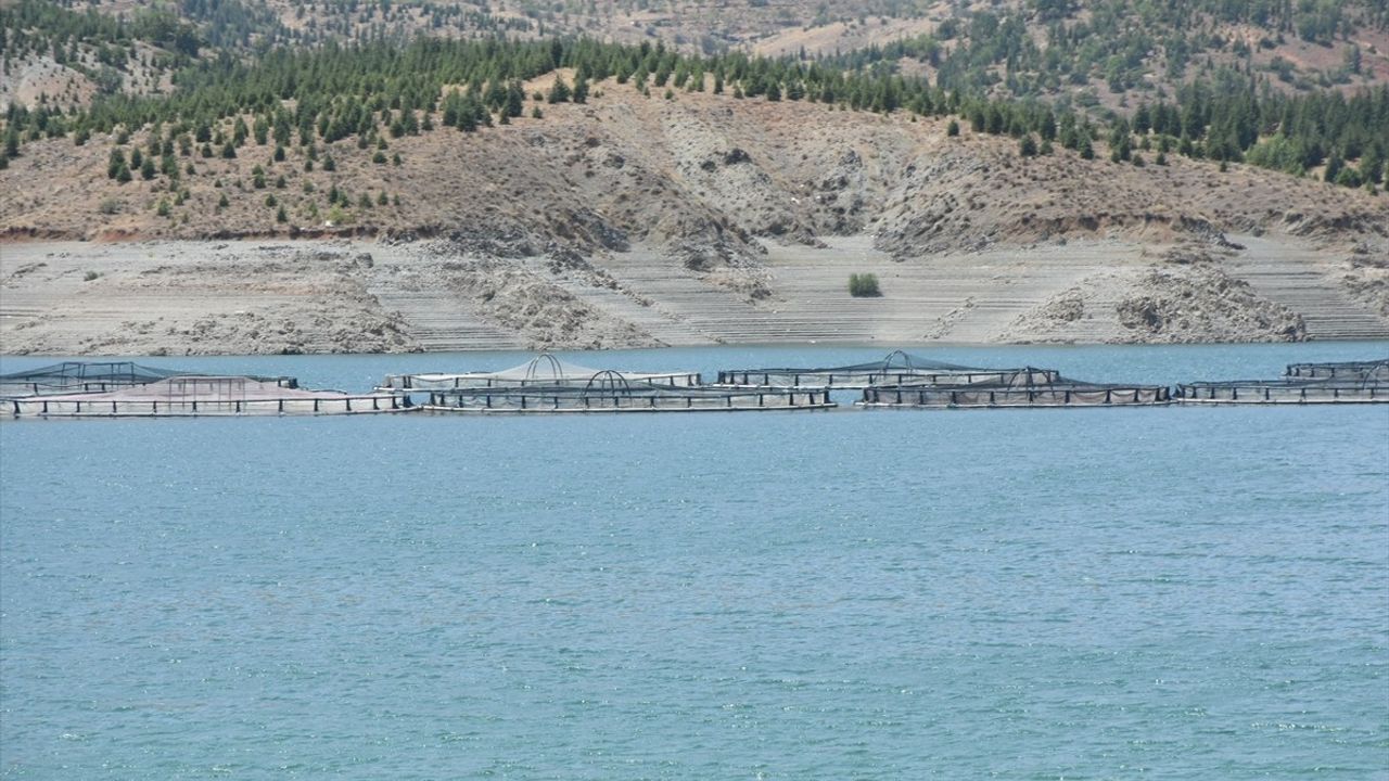 Malatya'da Alabalık Üretim Tesisi Sayısı Artıyor