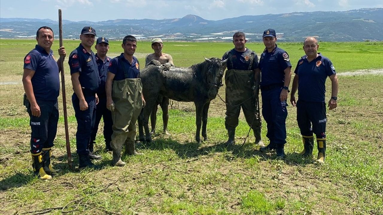 Manisa'da Bataklığa Saplanan Kişi Kurtarıldı