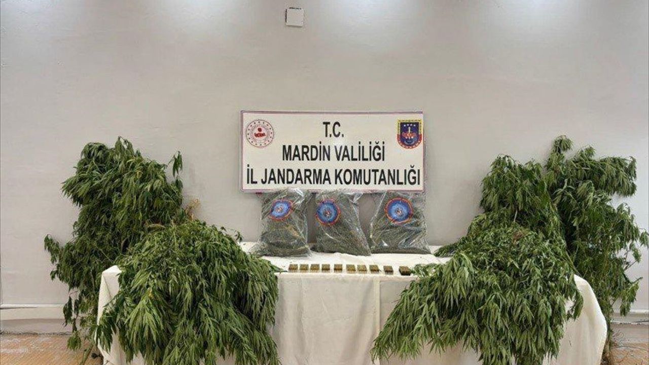 Mardin'de Uyuşturucu Operasyonu: 4.3 kilogram Esrar Ele Geçirildi