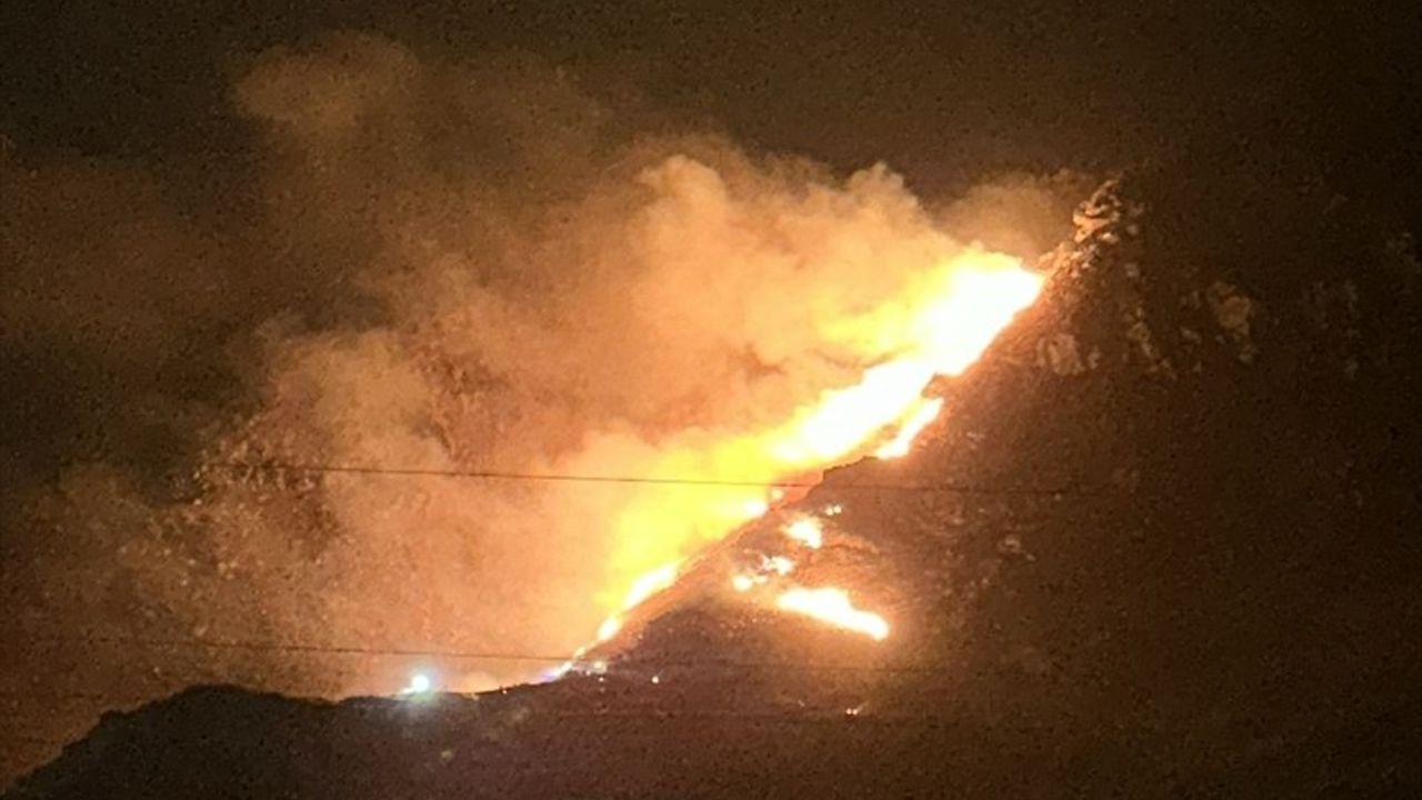 Marmara Adası'nda Orman Yangınına Müdahale Başladı