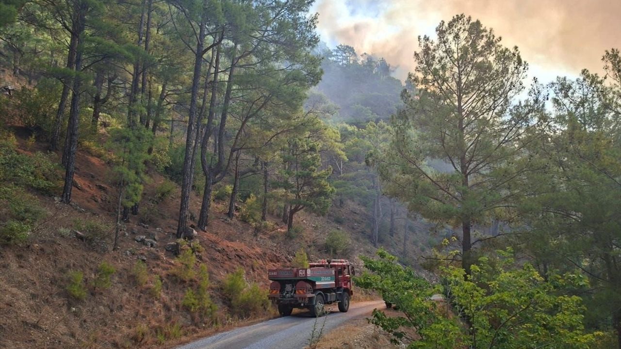 Mersin'de Orman Yangınına Hızlı Müdahale