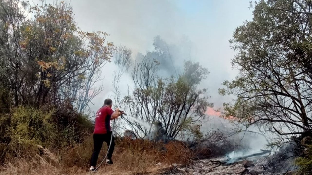 Mudanya'da Zeytinlik Yangını Kontrol Altına Alındı