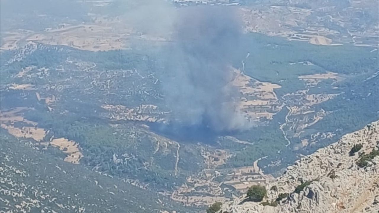 Muğla'da Orman Yangınına Hızlı Müdahale