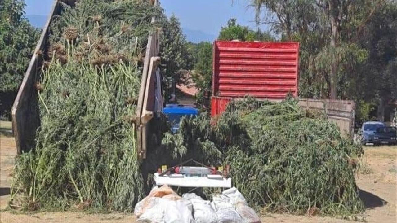 Muğla'da Uyuşturucu ve Tarihi Eser Operasyonu