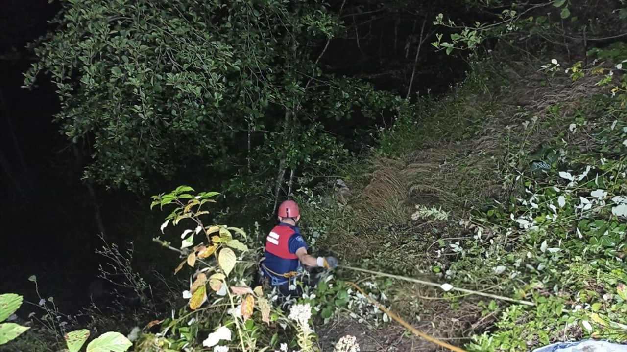 Ordu'da Tarım Aracı Uçuruma Yuvarlandı: Genç Sürücü Hayatını Kaybetti