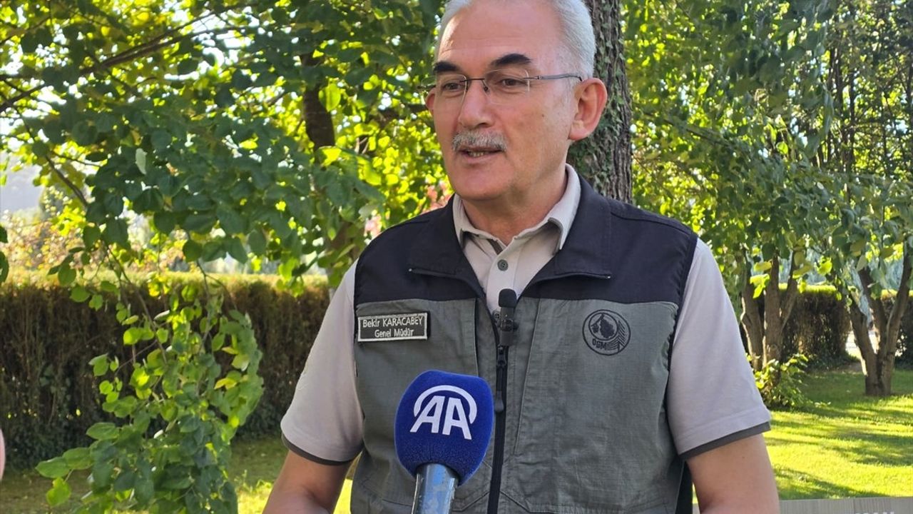 Orman Yangınlarına Dikkat! Farkındalık ve Sorumluluk Önemli