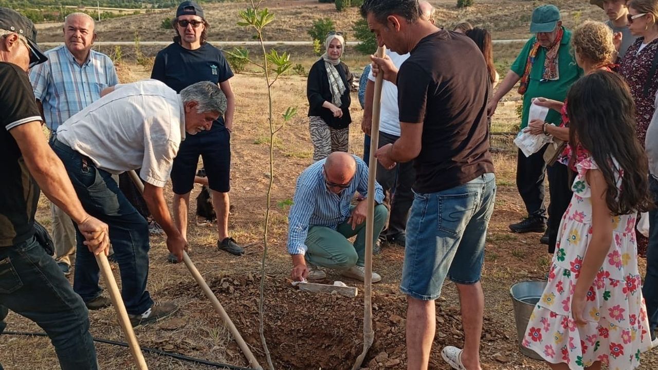 Prof. Dr. Metin Sözen Anısına Fidan Dikimi