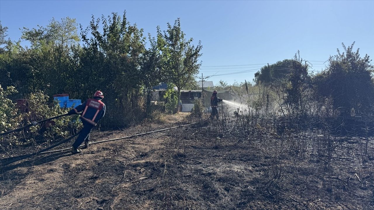 Sakarya'da Yerleşim Alanına Yakın Orman Yangını Kontrol Altına Alındı