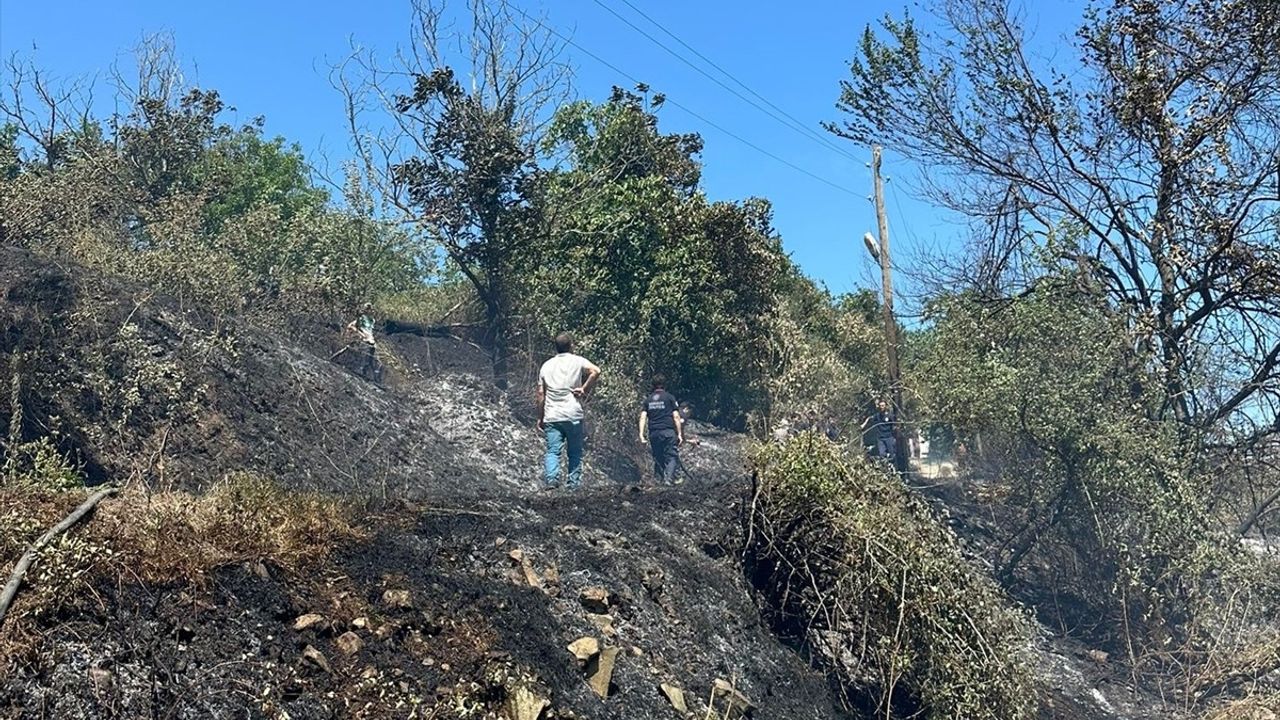Samsun'da Fındık Bahçesinde Yangın Kontrol Altına Alındı