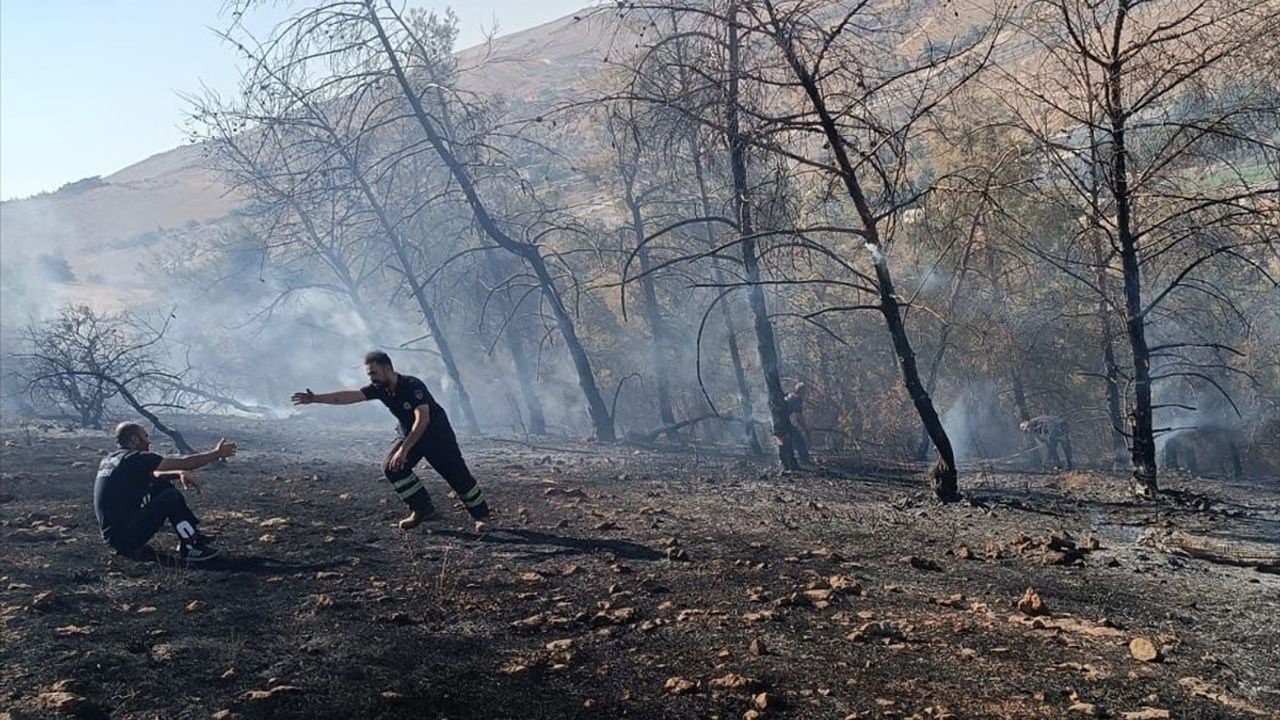 Şanlıurfa Eyyübiye'de Orman Yangını Kontrol Altına Alındı