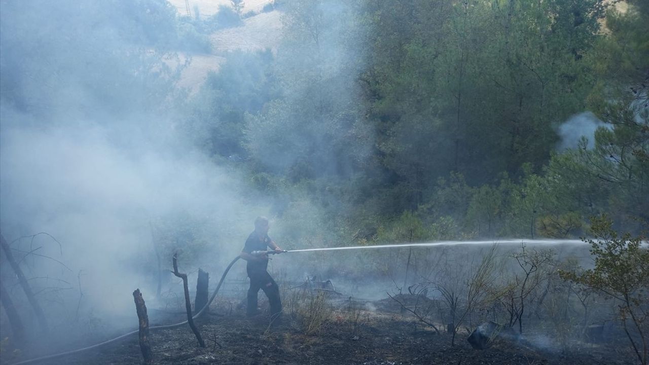 Sinop Gerze'de Orman Yangınına Müdahale Devam Ediyor