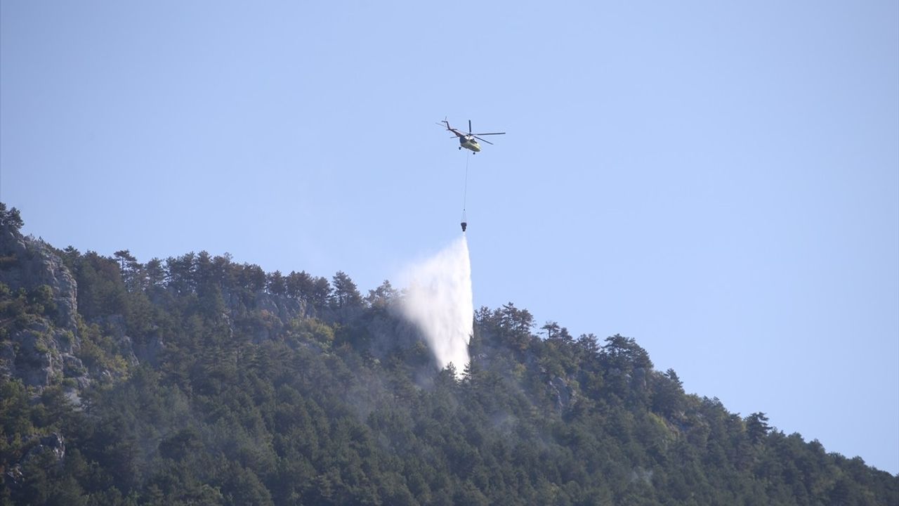 Sinop'ta Orman Yangınına Müdahale Devam Ediyor
