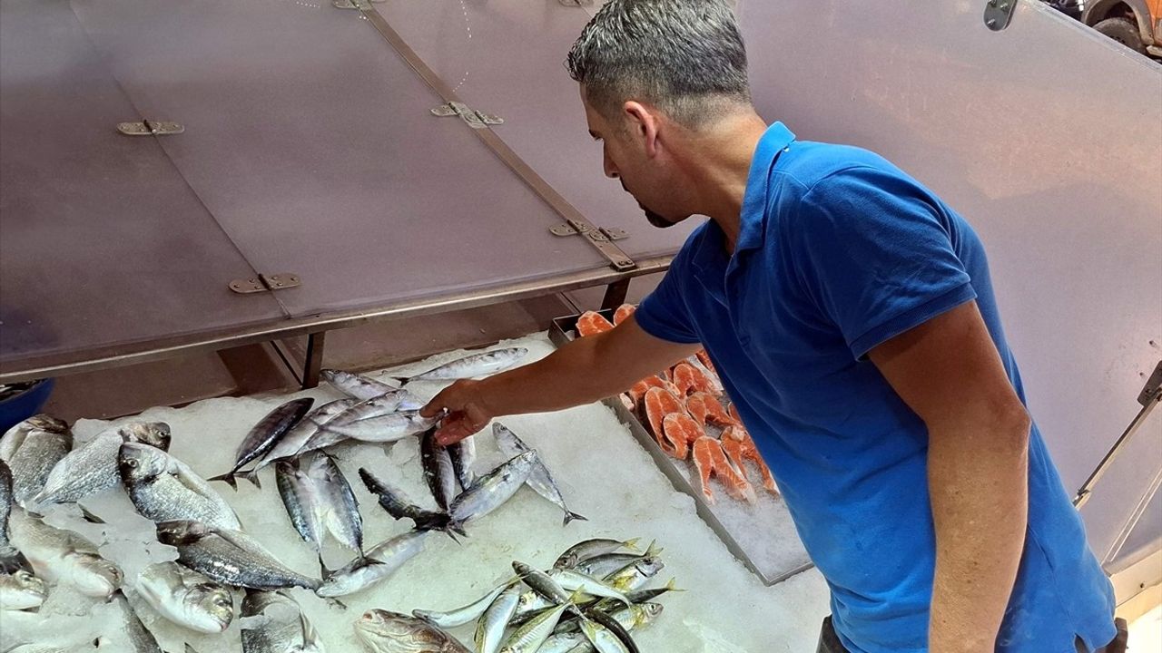 Sinop'ta Palamut Satışı 350 Lira, Balıkçılardan Umutlu Açıklamalar