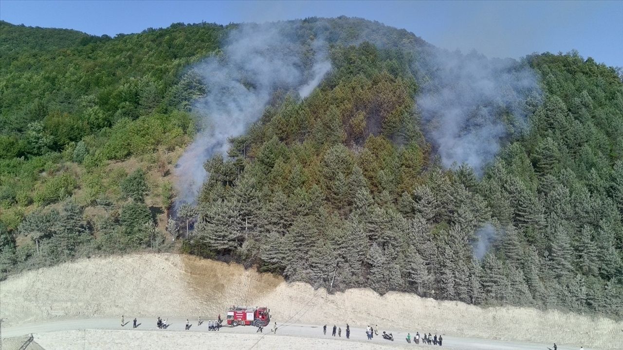 Sinop'taki Orman Yangını Kontrol Altına Alındı