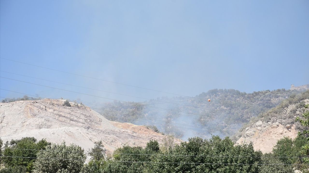 Şırnak'taki Orman ve Örtü Yangını Kontrol Altına Alındı