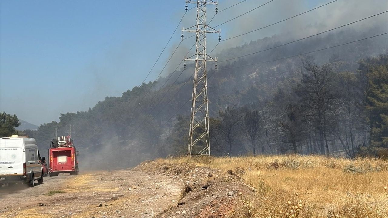 Soma'da Orman Yangınına Müdahale Ediliyor