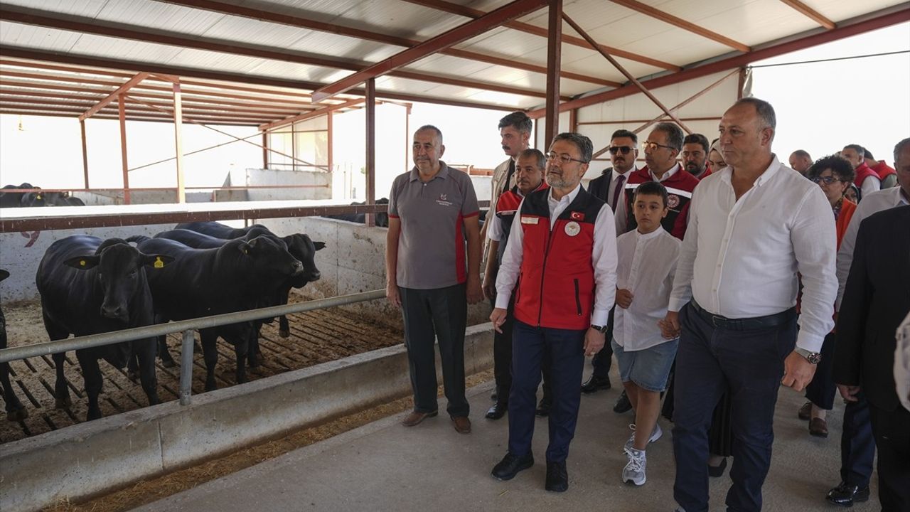 Tarım ve Orman Bakanı Yumaklı'dan 'Güçlü Besi Güçlü Üretim Projesi' Açıklaması