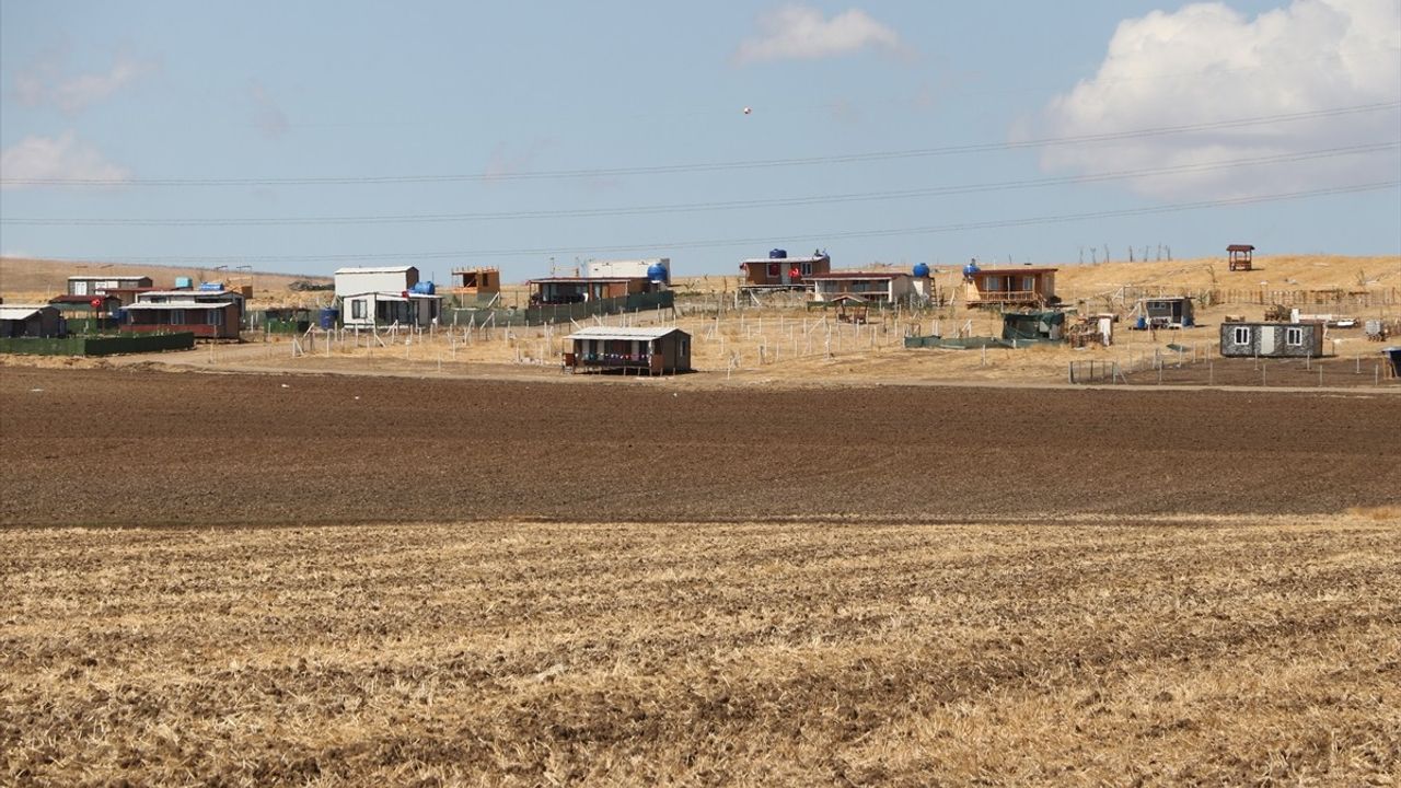 Tekirdağ'da Çiftçiler Konteyner Evler İçin Eylemde