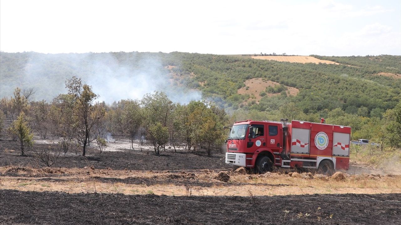 Tekirdağ'daki Orman Yangınına Müdahale Başladı