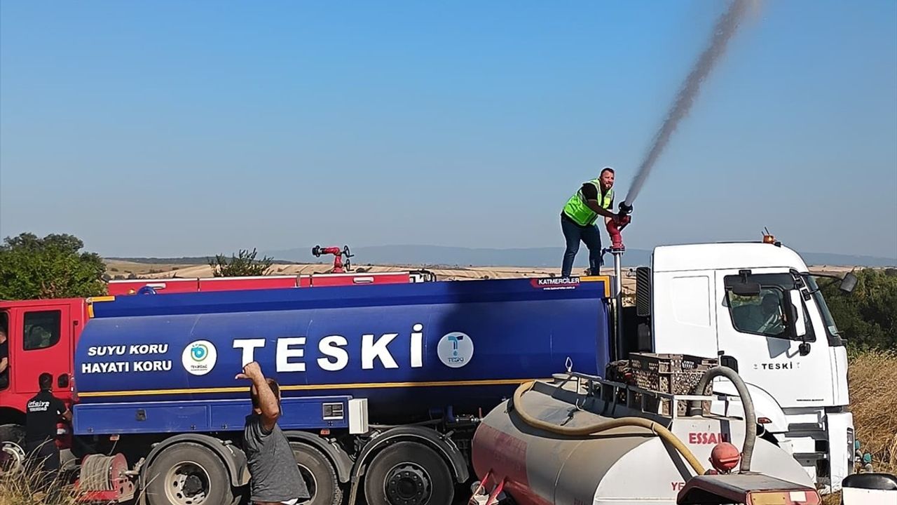 Tekirdağ'daki Yangında Makilik Alan Zarar Gördü