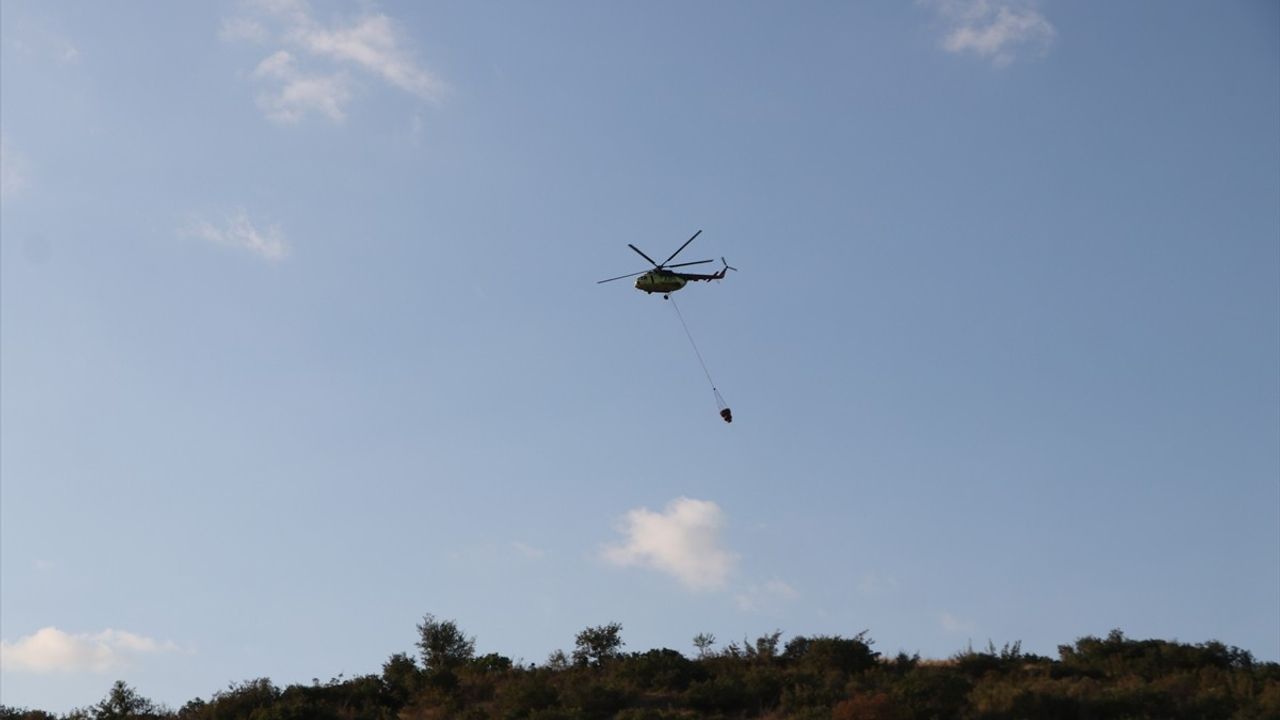 Tekirdağ Şarköy'deki Orman Yangını Kontrol Altına Alındı