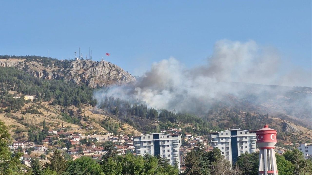 Tokat'ta Orman Yangınına Müdahale