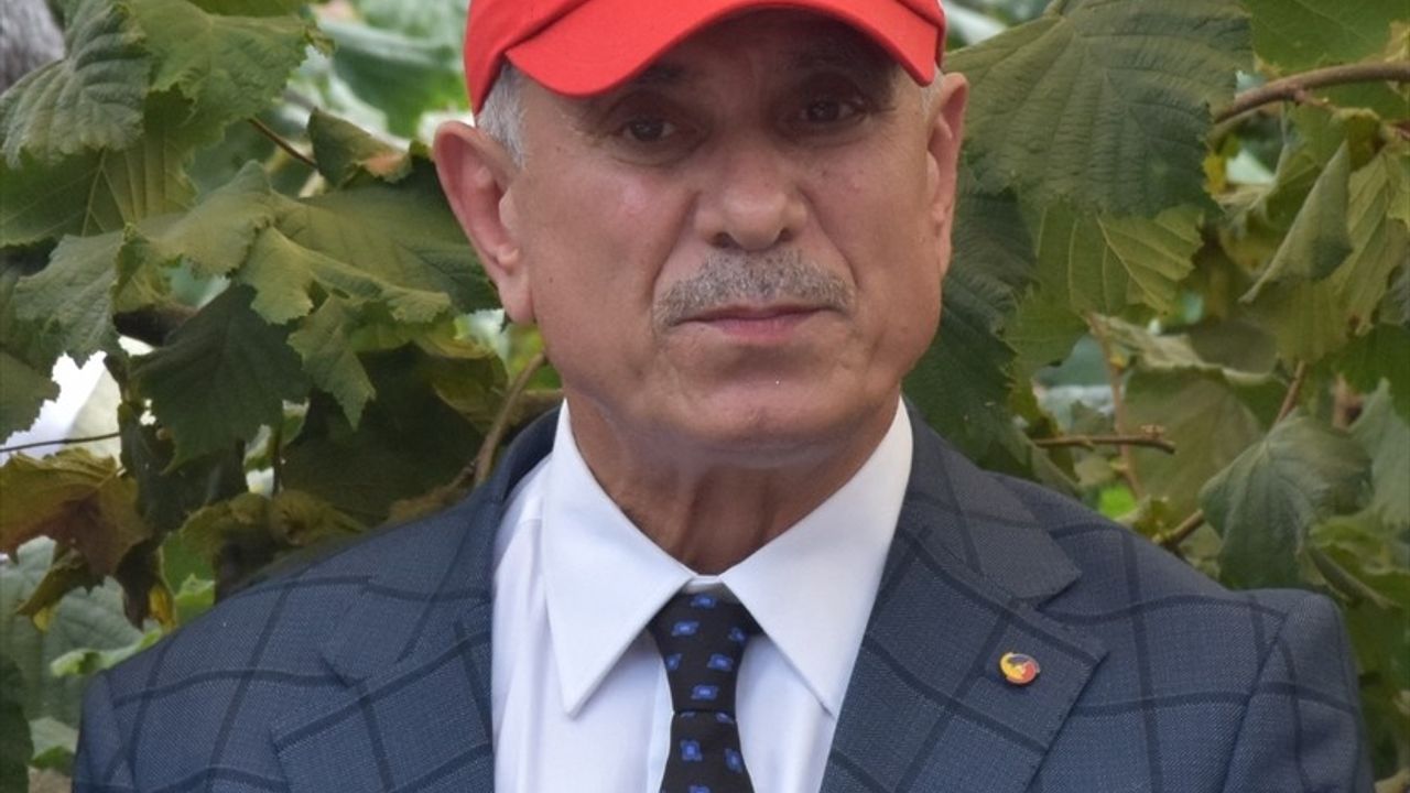 Trabzon'da Fındık Hasat Şenliği Coşkusu