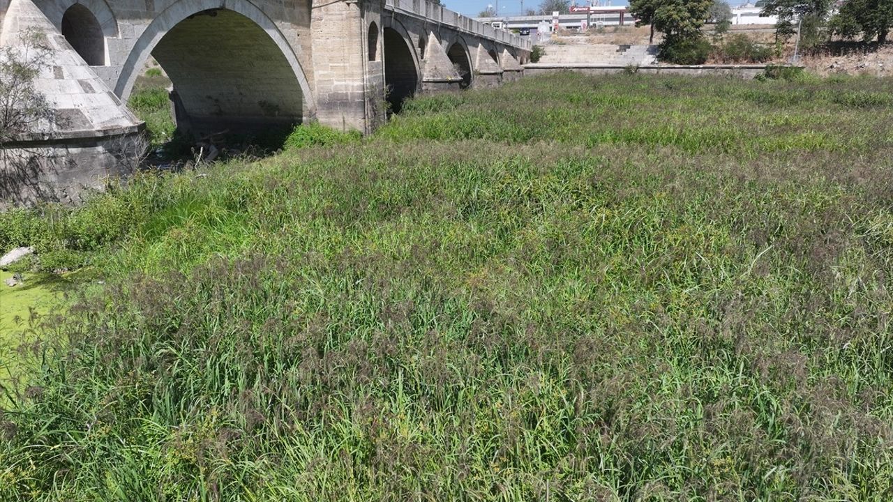 Tunca Nehri'nde Kuraklık Krizi