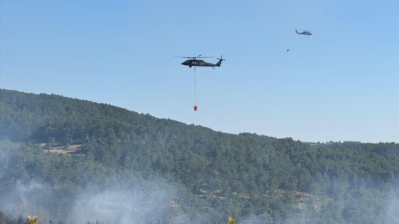Uşak'ta Orman Yangını Kontrol Altına Alındı