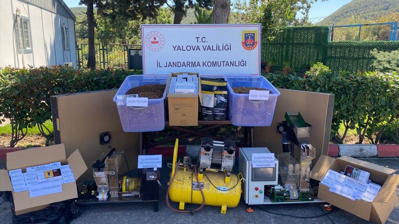 Yalova'da Kaçakçılık Operasyonu: 1 Kişi Tutuklandı