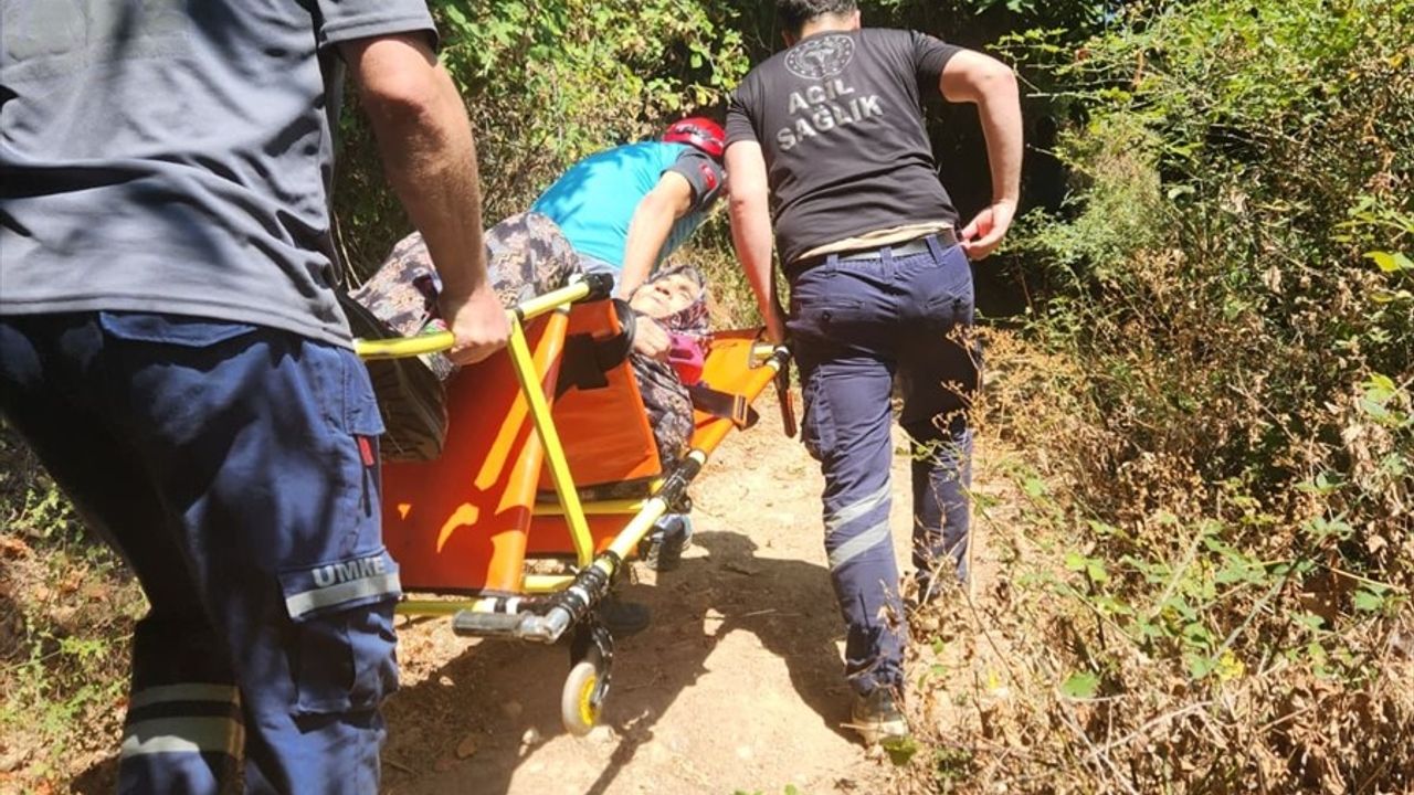 Yalova'da Ormanda Rahatsızlanan Kadın Hastaneye Kaldırıldı