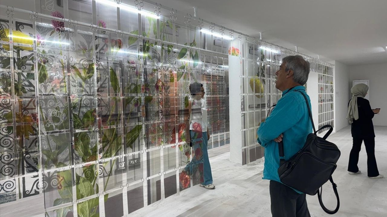 18. İstanbul Bienali: Üç Ayaklı Kedi Temasıyla Sanatseverleri Büyülüyor