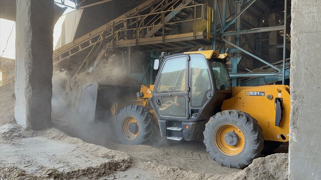 Adana'daki Biyokütle Enerji Tesisinde Yangın Kontrol Altına Alındı