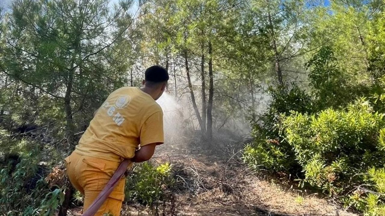 Adana'daki Orman Yangını Kontrol Altına Alındı