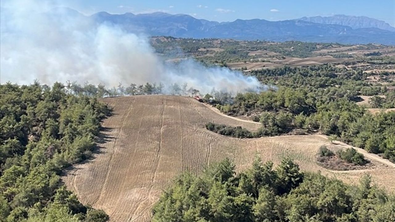 Adana'nın Sarıçam İlçesinde Orman Yangını: Hava ve Karadan Mücadele