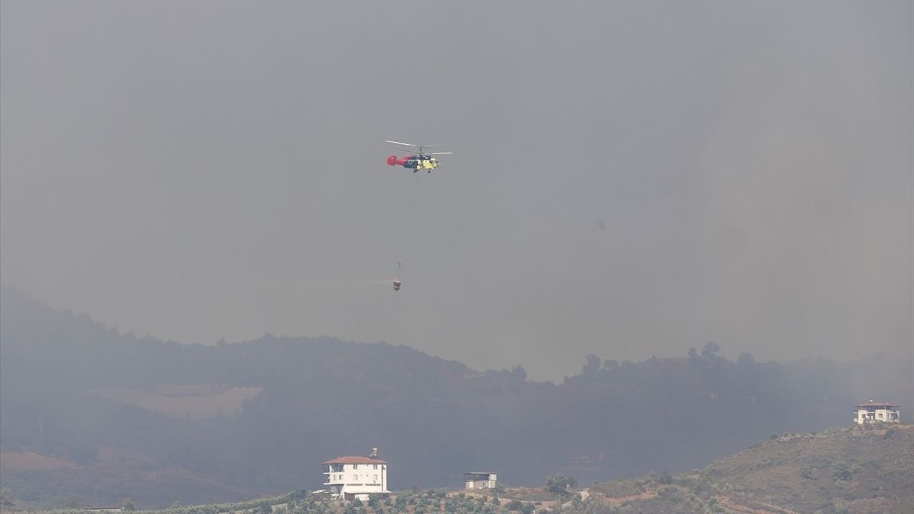 Alanya'daki Orman Yangınına Hızla Müdahale Ediliyor