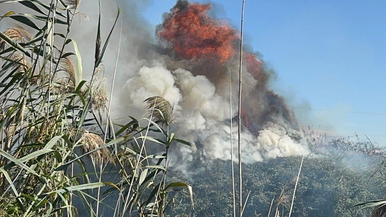Antalya'da Sazlık Alanda Yangın Kontrol Altına Alındı