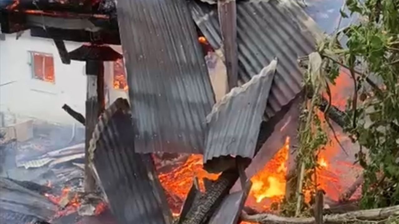 Artvin'de Yangın Felaketi: 4 Ev Yandı