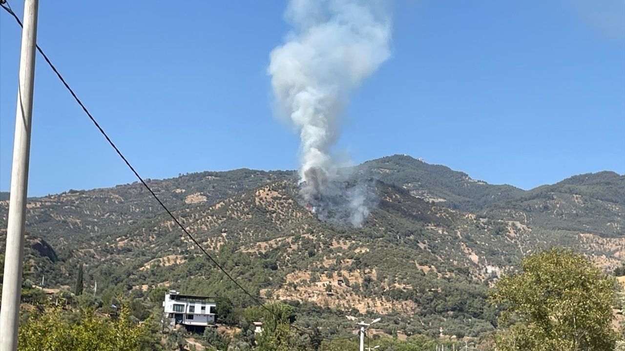 Aydın'daki Zeytinlik Yangınına Hızlı Müdahale