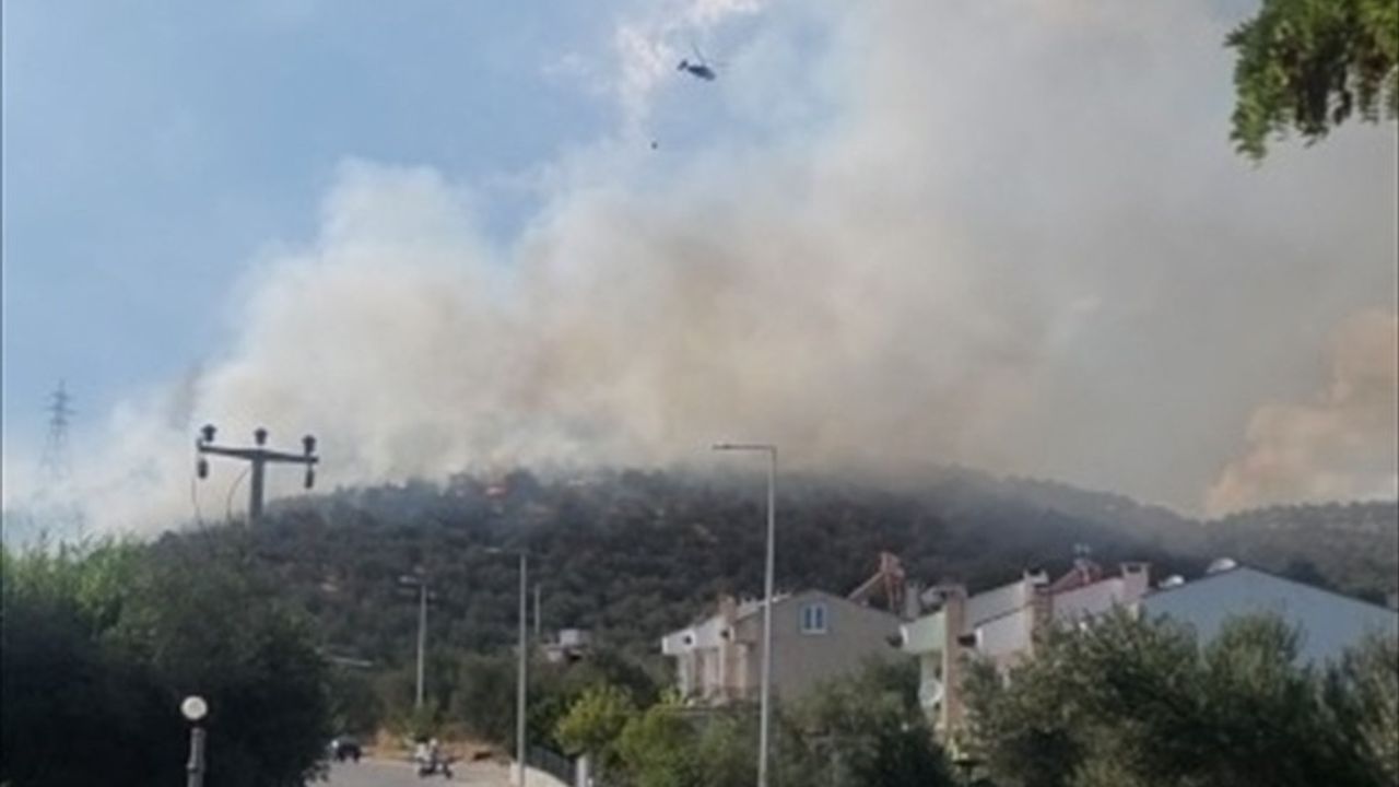 Balıkesir'de Makilik Alan Yangını Kontrol Altına Alındı